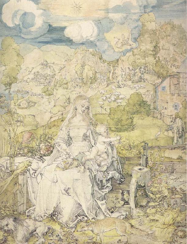  The Virgin with a Multitude of Animals